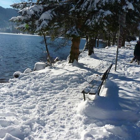 Studio Hauteur Gerardmer Ngoại thất bức ảnh