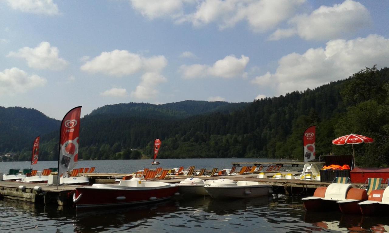 Studio Hauteur Gerardmer Ngoại thất bức ảnh