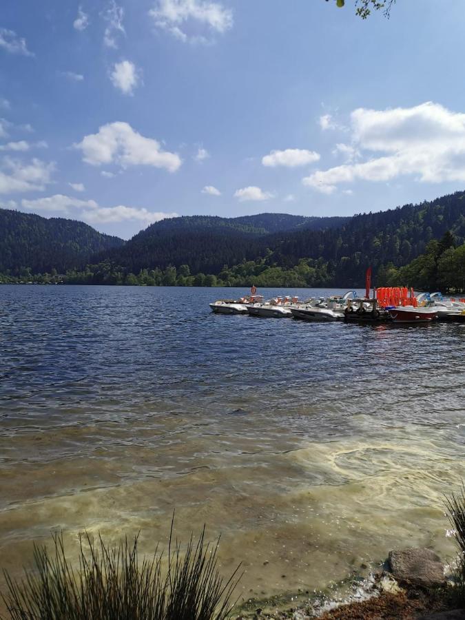 Studio Hauteur Gerardmer Ngoại thất bức ảnh